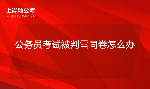 公务员考试被判雷同卷如何解决,国家公务员考试雷同卷